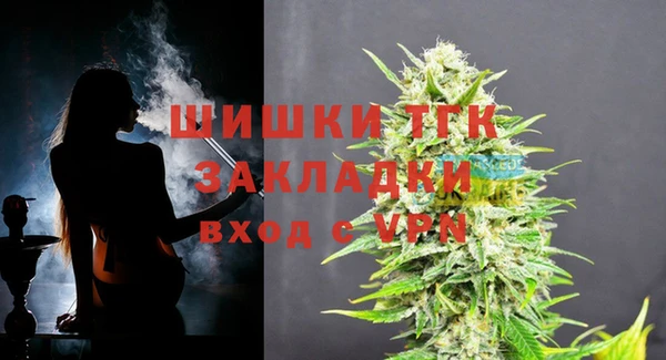 МДПВ Володарск