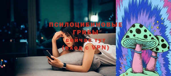 МДПВ Володарск