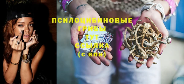 МДПВ Володарск