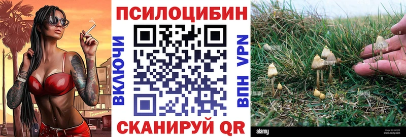 Галлюциногенные грибы Magic Shrooms  Давлеканово 